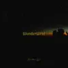 TrippyKO - WonderWrld (feat. Tony Young) - Single